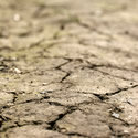 Restore Funding to UNCCD
