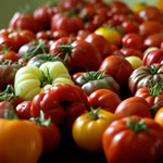 GMO Labelling